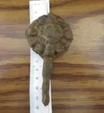 IMGP9200.webp