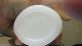 IMGP8686.webp