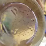 IMGP8671.webp