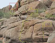Ram2-hearatquest.webp