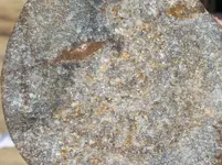 100_6806.webp