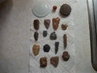 100_5588.webp