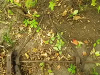 IMGP8619.webp