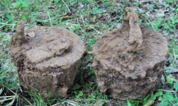 MG42  50 Round Drum Magazines.gif