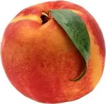 d.webp