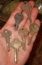DSCN2670.webp