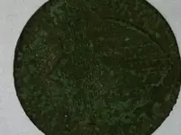 image-1157658912.webp