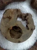 old watch.webp