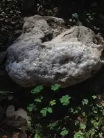 image-2105194131.webp