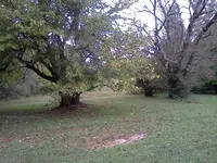 cntVa.webp