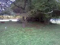 cntVa2.webp