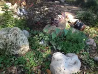 image-1550483388.webp