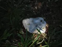 image-3667659413.webp