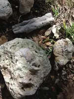 image-2148163538.webp