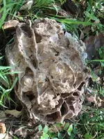 image-3516169093.webp