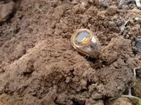 RING12.webp RING12.webp