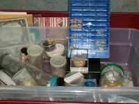 100_0106.webp