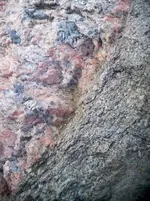 100_1551.webp