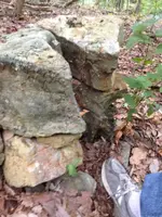 image-1608870430.webp