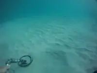 GOPR0842.webp