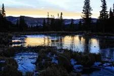 10-19c.webp