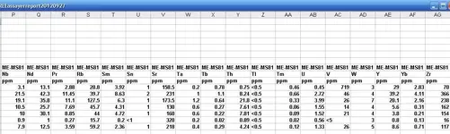assayReport02.webp
