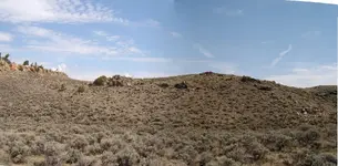 EasterlyPanorama.webp