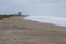 Douglas Beach Wreck 10-27-12.webp