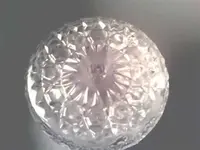 bottom1jpg.webp