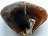 Agate-CaronCracked-Img_0821SSS.webp