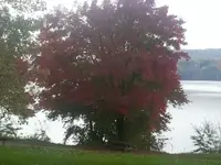 image-3067615205.webp