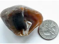 Agate-CaronCrackedQ-Img_0820SSS.webp