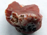 Agate-CaronLittleRedHalf-Img_0825SSS.webp