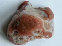 Agate-CaronLittleRedHalf-Img_0826SSS.webp Agate-CaronLittleRedHalf-Img_0826SSS.webp