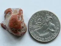 Agate-CaronLittleRedHalf-Img_0827SSS.webp Agate-CaronLittleRedHalf-Img_0827SSS.webp