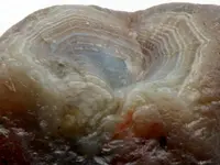 Agate-CaronNode-08-02-2012-IMG_0816CSSS.webp