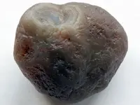 Agate-CaronNode-08-02-2012-IMG_0816SSS.webp