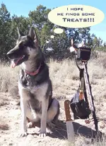 treasure-hunting-partner1.webp