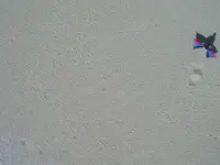 Kite Camera (40).webp Kite Camera (40).webp