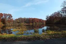 peaceful ride.webp