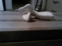 Bird Stone1.webp