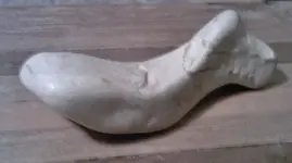 Bird stone2.webp