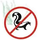 no skunk.webp