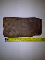 Side view.webp
