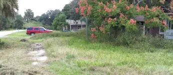 Curb Strp.webp