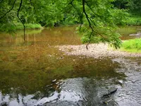 DSCN0712.webp
