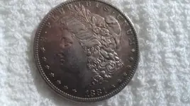 Morgan 002.webp