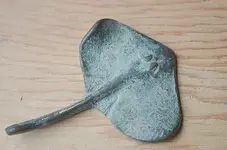 sting ray 2B.webp