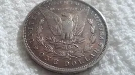 Morgan 004.webp