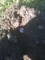 image-3123421861.webp